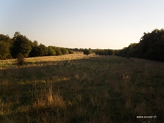 Vue sur la partie sud du plateau qui se situe à Nilvange, Algrange se trouve à la limite de la forêt à droite